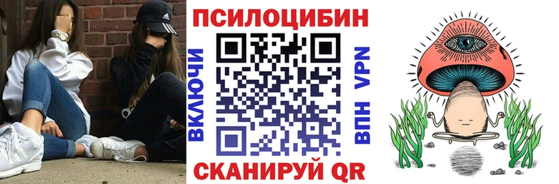 продажа наркотиков  Дубовка  Галлюциногенные грибы Magic Shrooms 